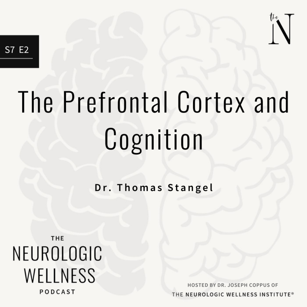 The Prefrontal Cortex and Cognition
