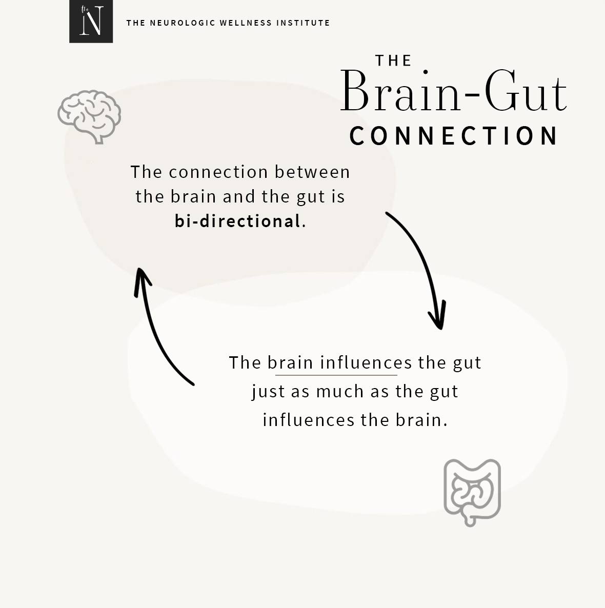 brain gut connection