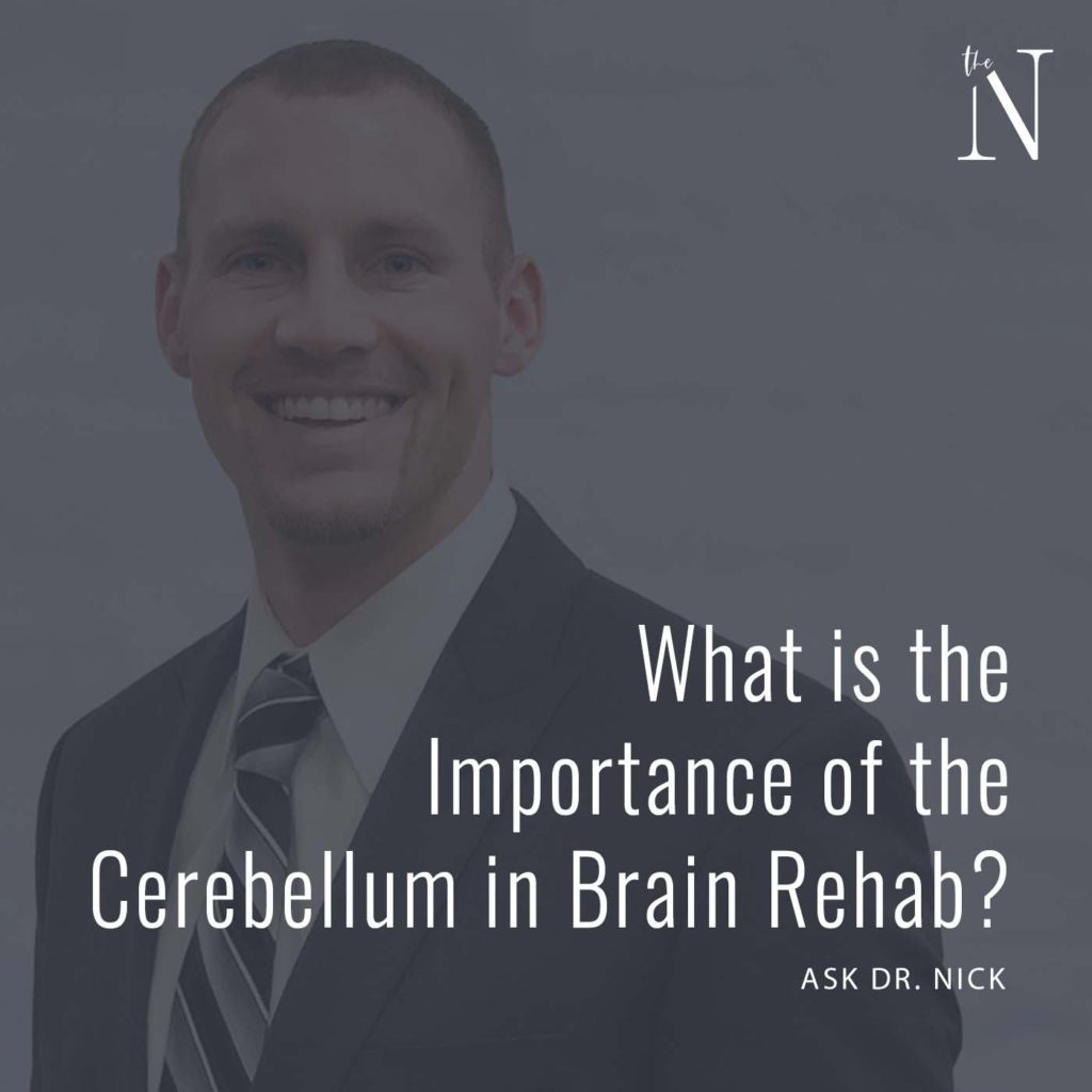 Cerebellum in Brain Rehab